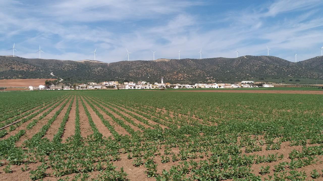 Posada Ana Ponce Sierra de Yeguas Exterior photo